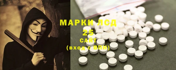 молекула духа Пестово