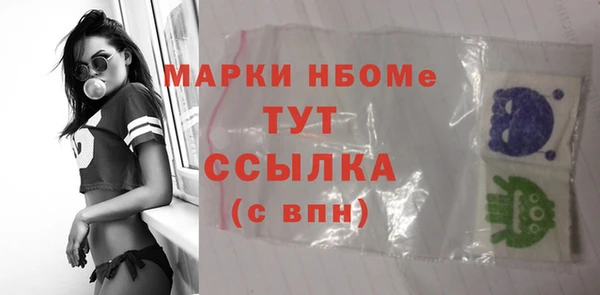молекула духа Пестово