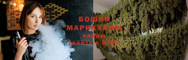 молекула духа Пестово