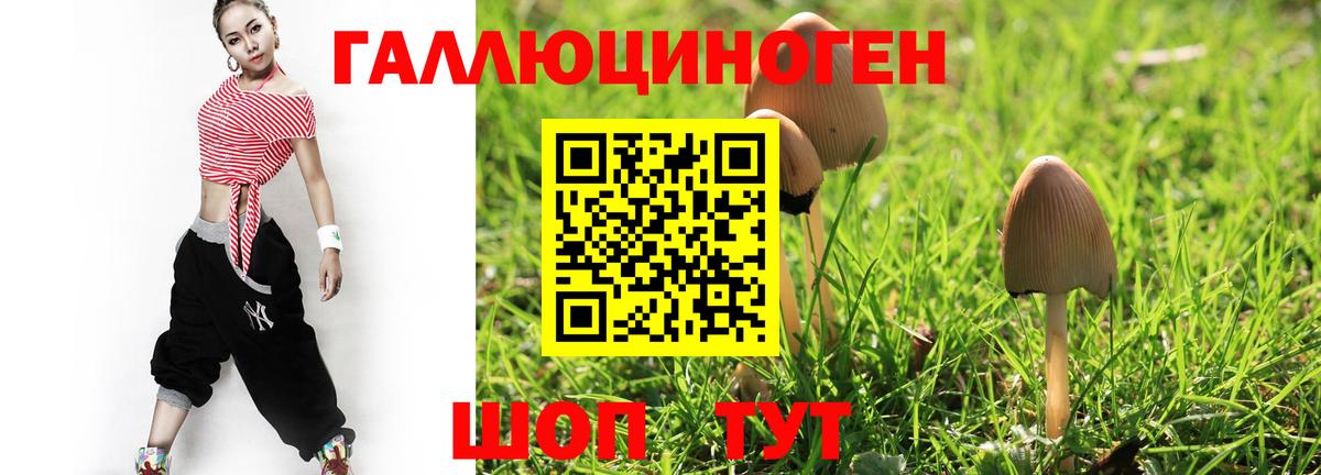 Галлюциногенные грибы Psilocybe Муравленко